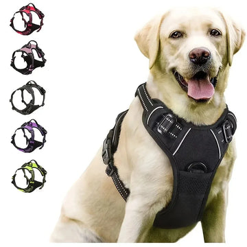 Dog Collar, Harness &amp; Leash Set