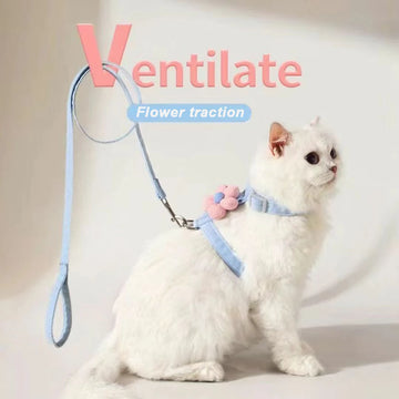 Cat &amp; Small Dog Harness Leash Set